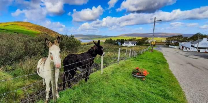 Cozy & Remote Hideaway Gintys Cottage Ross Port エクステリア 写真